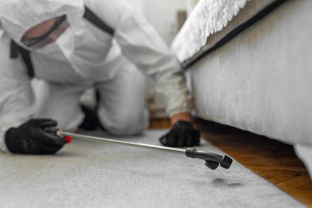 Professional Cockroach Control technician working in Webster City, IA